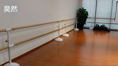 固定地面雙層把桿 固定地面雙層把桿